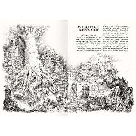 Forbidden Lands - The Bloodmarch Campaign Book  - Black Monk: gry fabularne (RPG)!