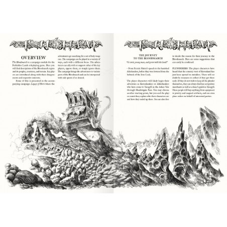 Forbidden Lands - The Bloodmarch Campaign Book  - Black Monk: gry fabularne (RPG)!