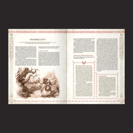 The Lord of the Rings™ 5E Ruins of Eriador - PDF Black Monk: Gry Fabularne (RPG)!