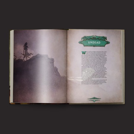 Dragonbane Bestiary - Black Monk: Gry Fabularne (RPG)!