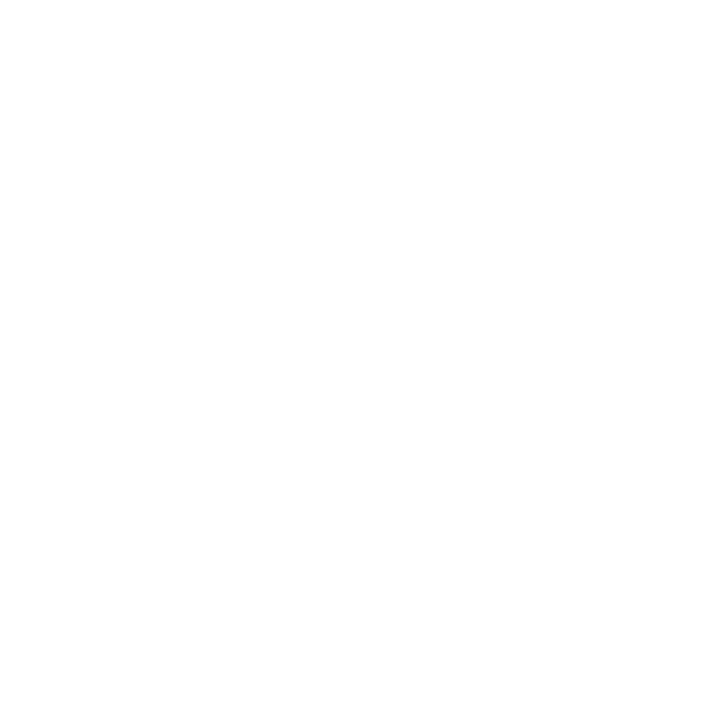 Logo Salomey